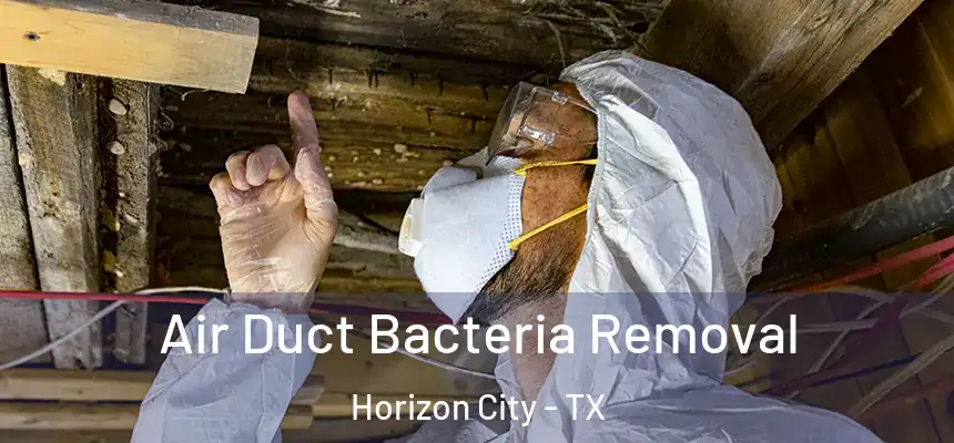  Air Duct Bacteria Removal Horizon City - TX