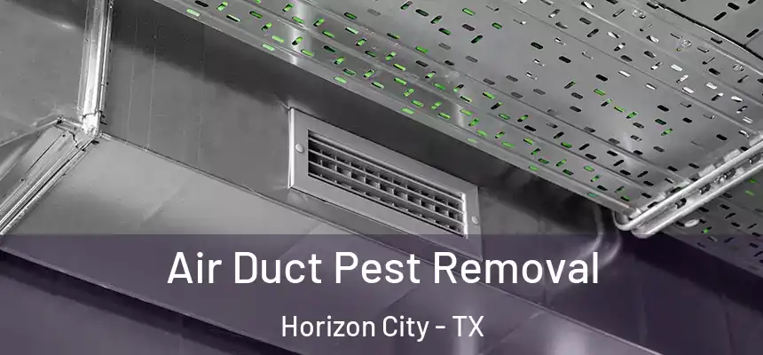  Air Duct Pest Removal Horizon City - TX