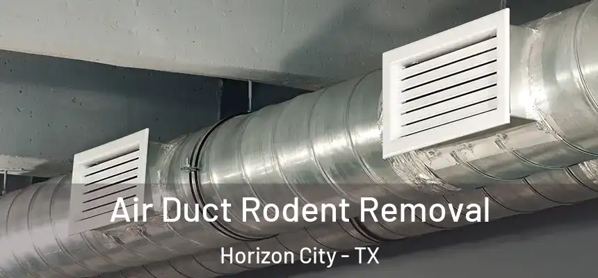 Air Duct Rodent Removal Horizon City - TX