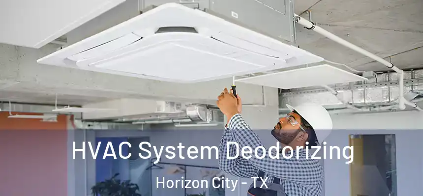  HVAC System Deodorizing Horizon City - TX