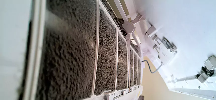 Preventive Air Duct Bacteria Removal in Horizon City