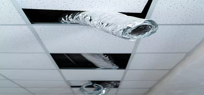 Our Air Duct Pet Hair Removal Services in Horizon City, TX