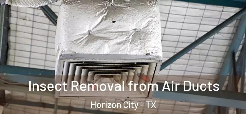  Insect Removal from Air Ducts Horizon City - TX