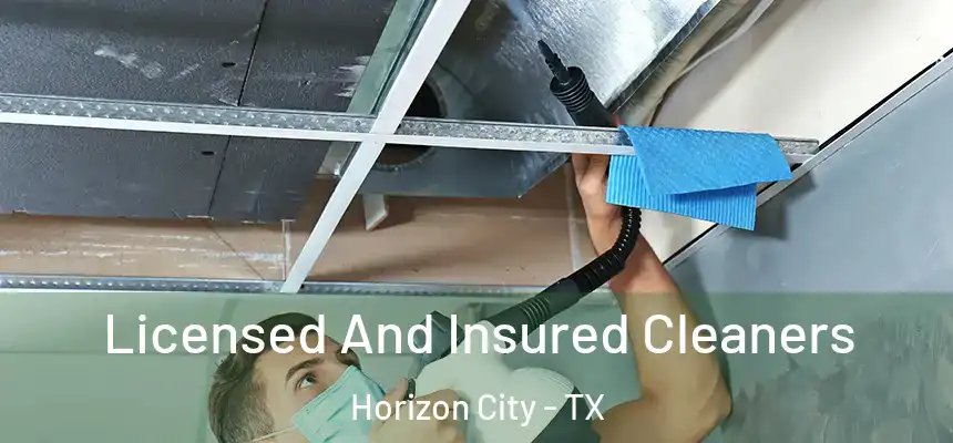  Licensed And Insured Cleaners Horizon City - TX