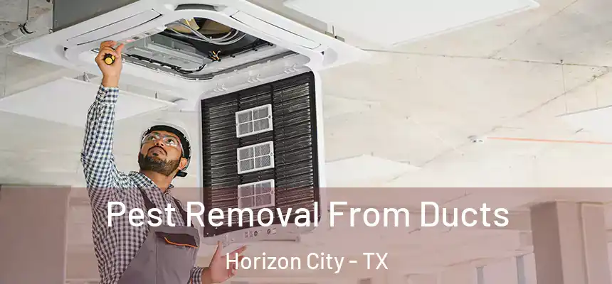  Pest Removal From Ducts Horizon City - TX