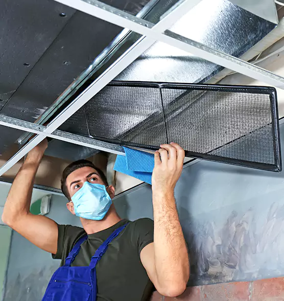 About Air Duct Bacteria Removal in Horizon City